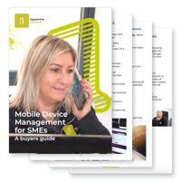 MDM-Guide-for-SMEs