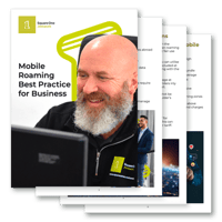 Mobile-Roaming-Guide-360x360
